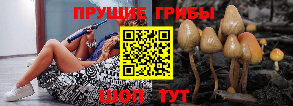 Псилоцибиновые грибы мухоморы  закладки  Россия  Вход с VPN 